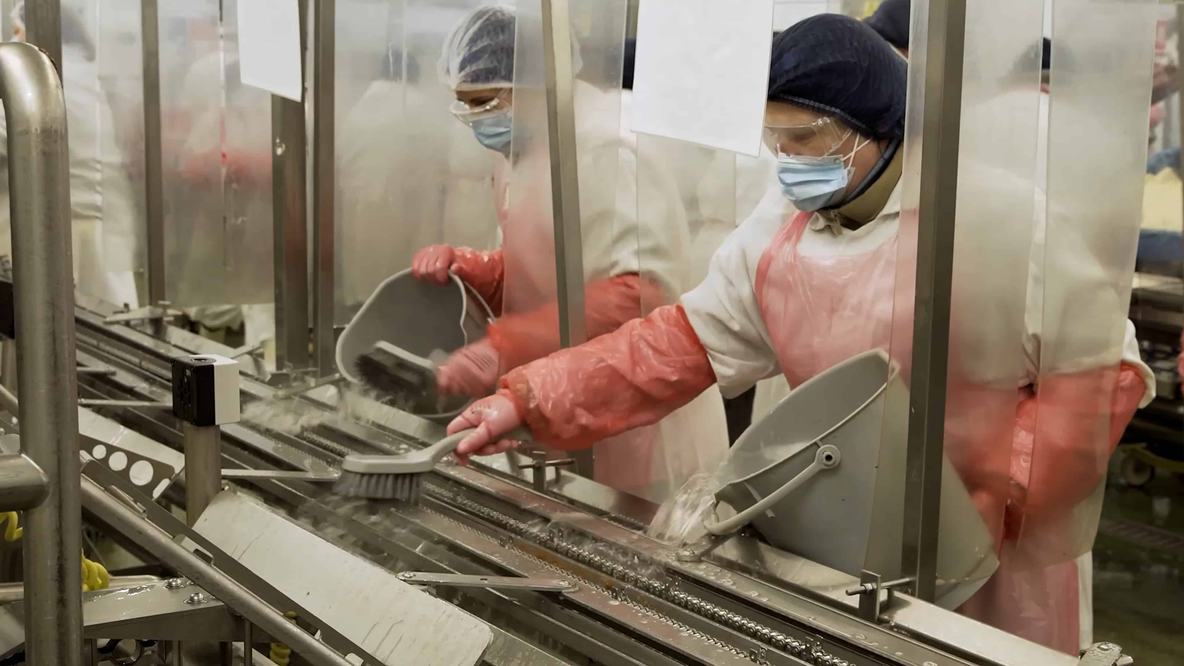 work health and safety induction video