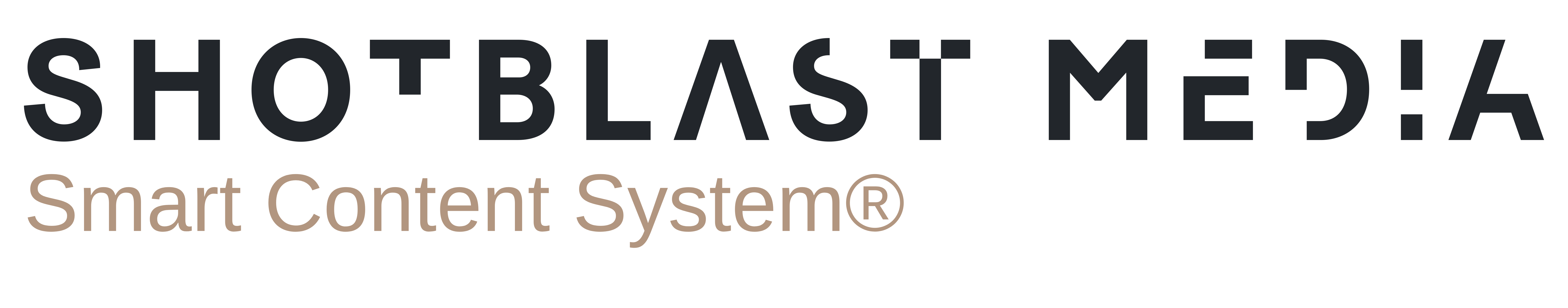 Shot Blast Media